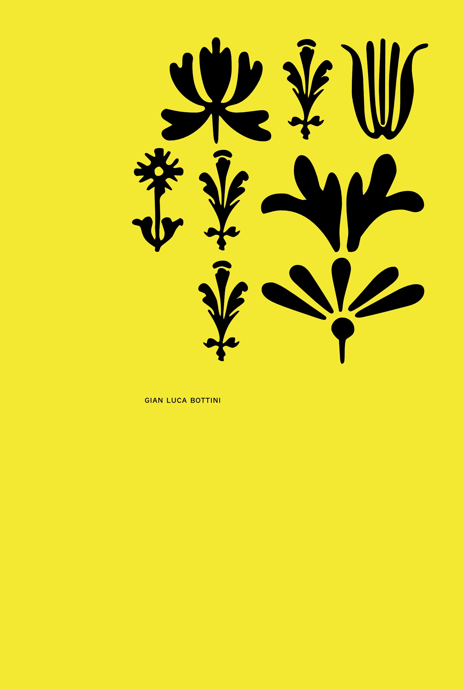 cover con titolo 20 in codice ornaments