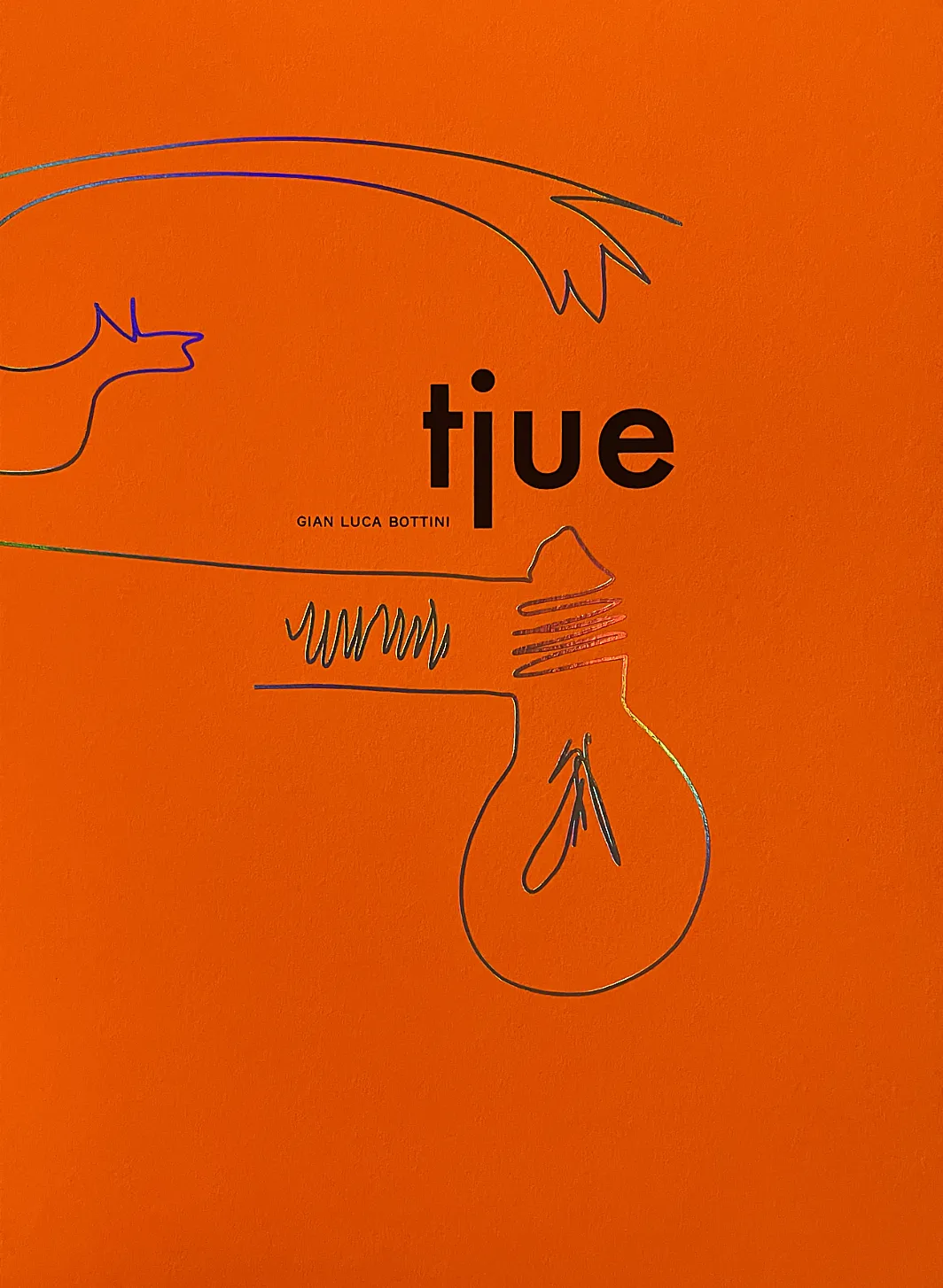 cover con titolo 20 [tjue] in lingua norvegese con segno grafico in lamina in bronzo